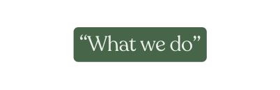 What we do